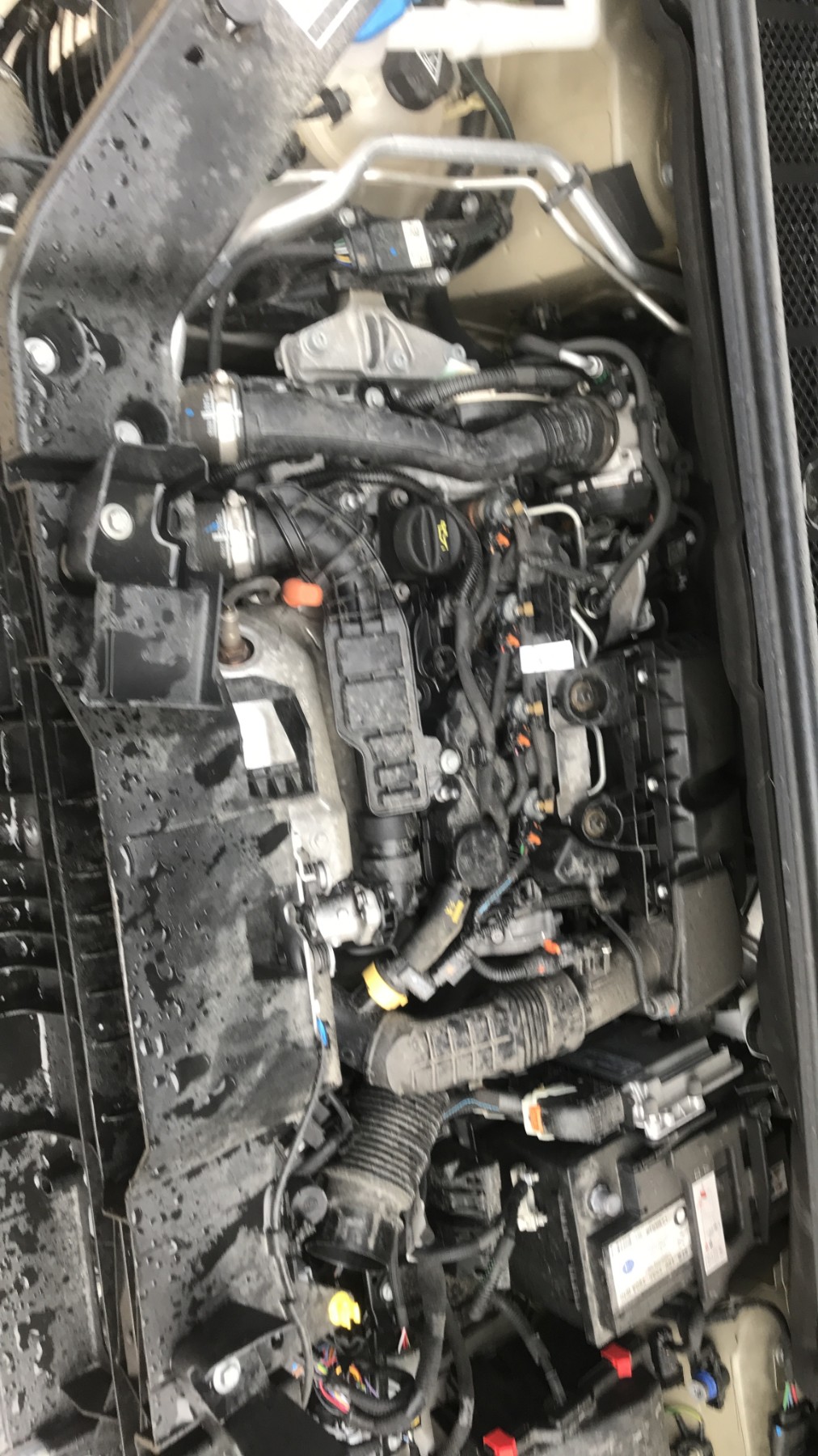 Image CITROEN BERLINGO 3 M