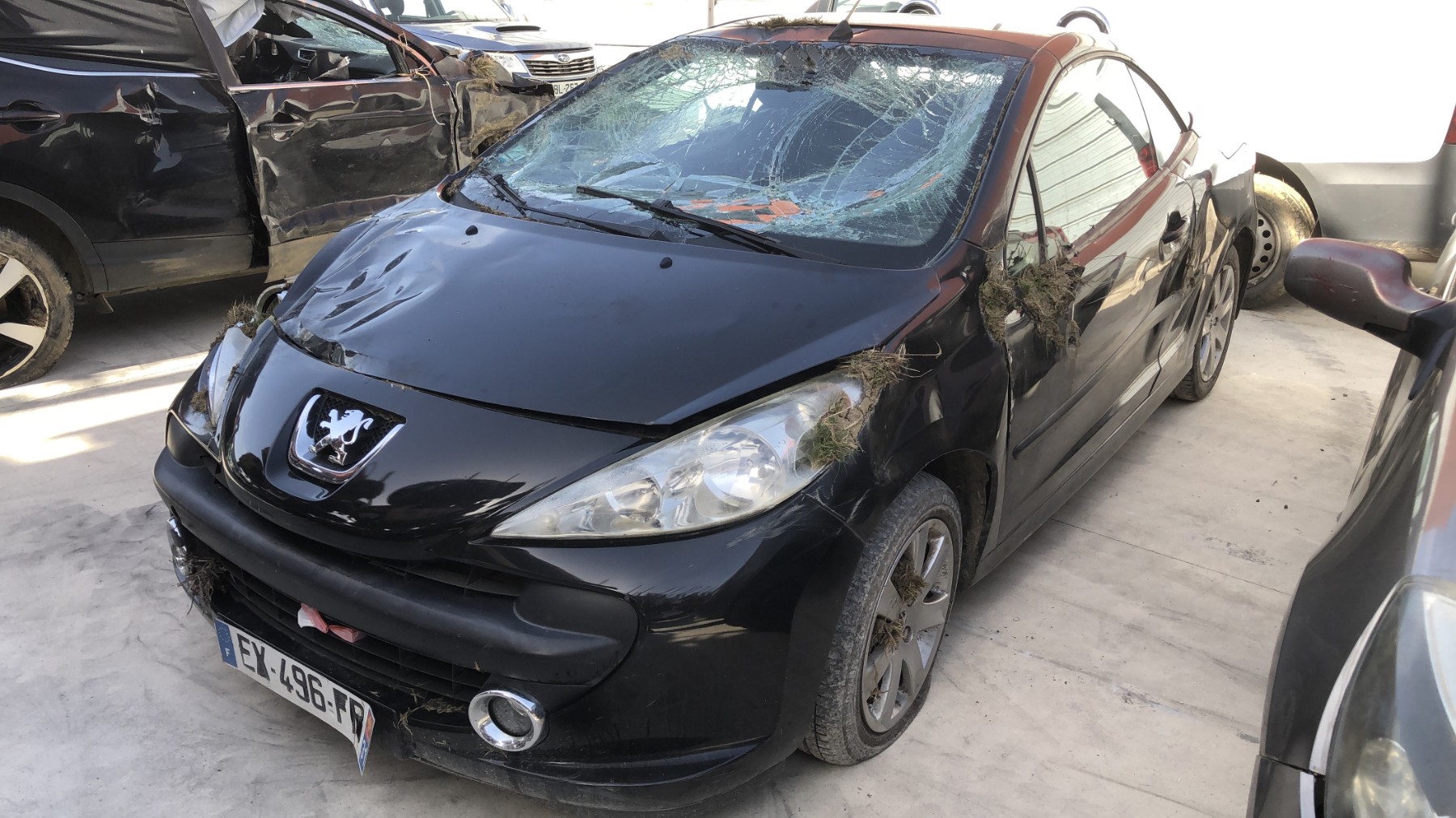 Image PEUGEOT 207