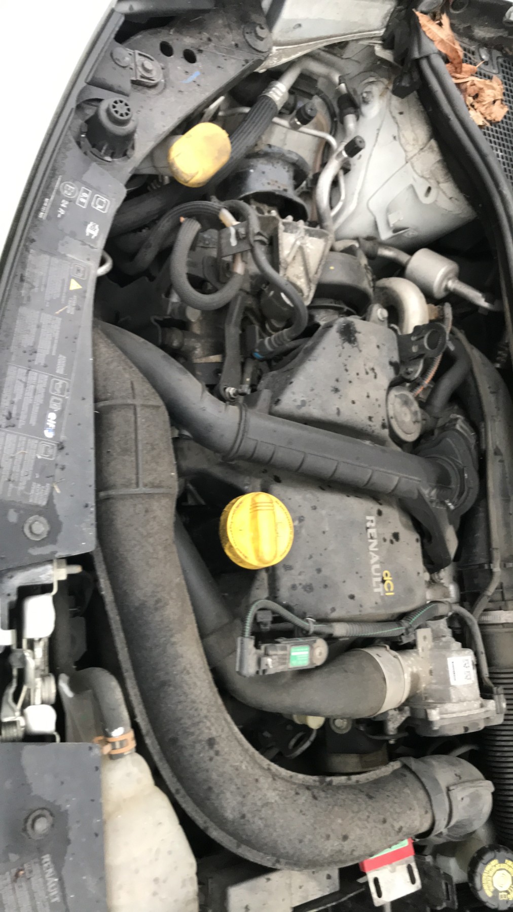 Image RENAULT CLIO 3