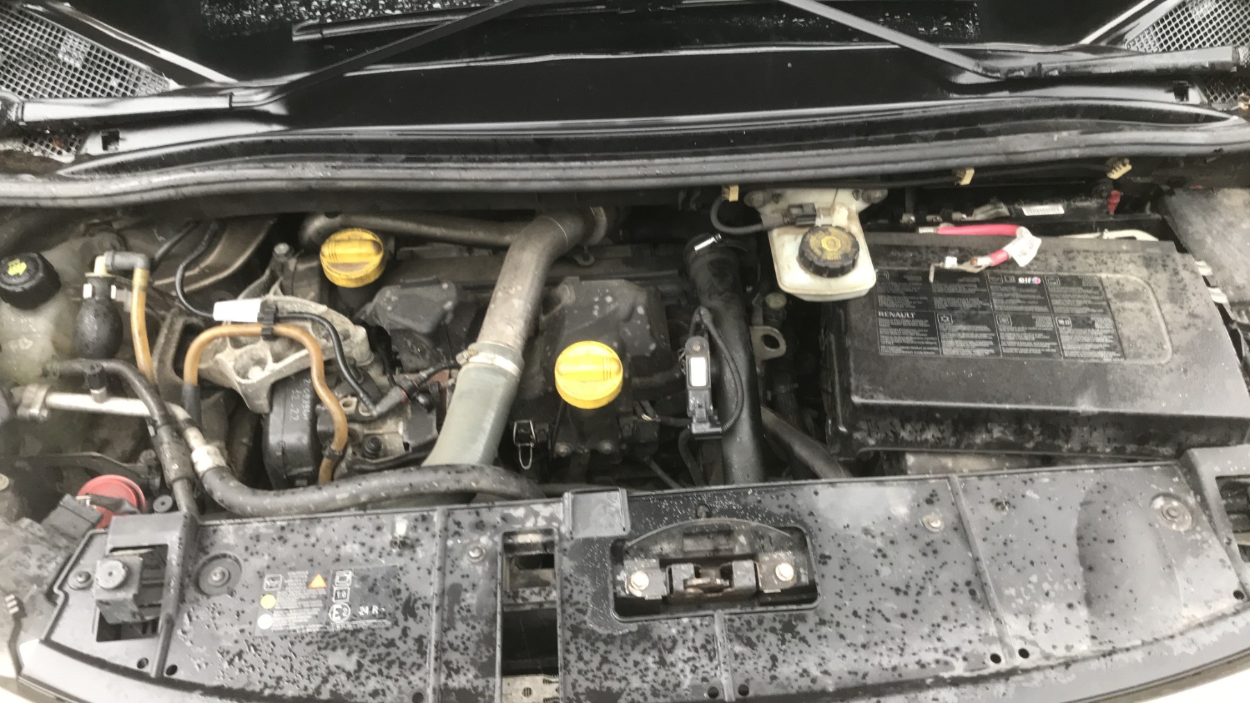 Image RENAULT SCENIC 3