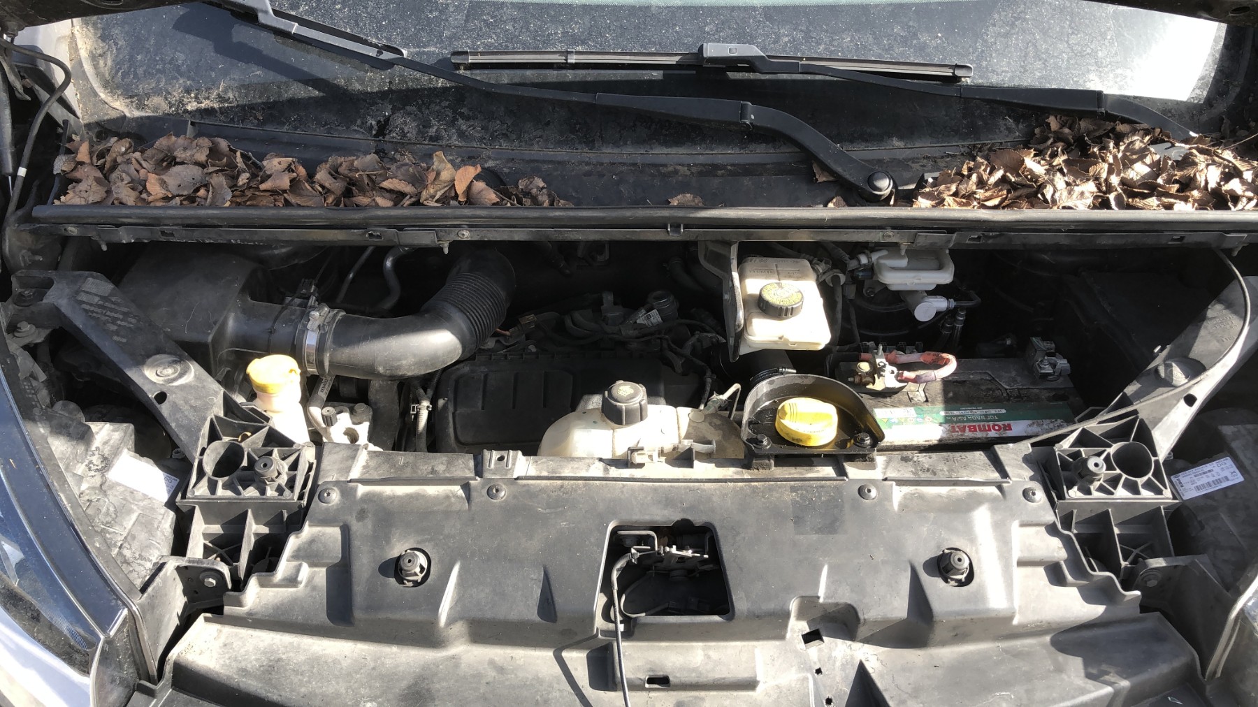 Image RENAULT TRAFIC 3