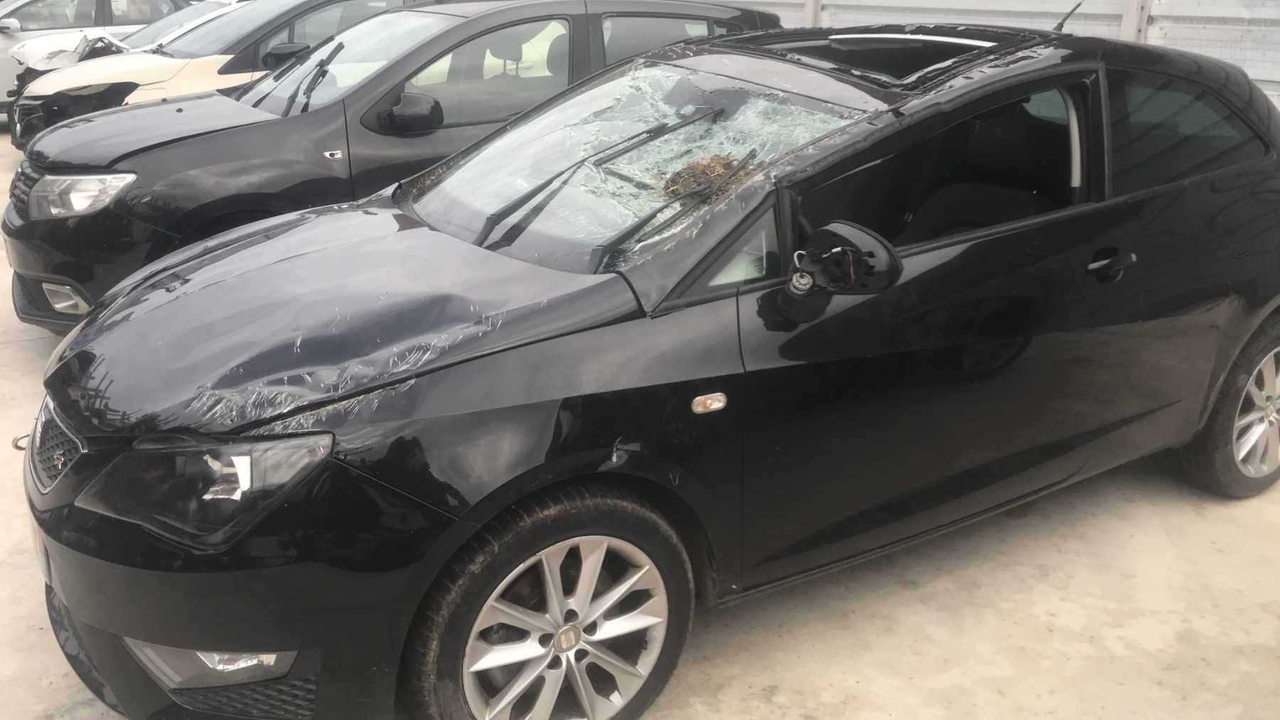 Image SEAT IBIZA 4