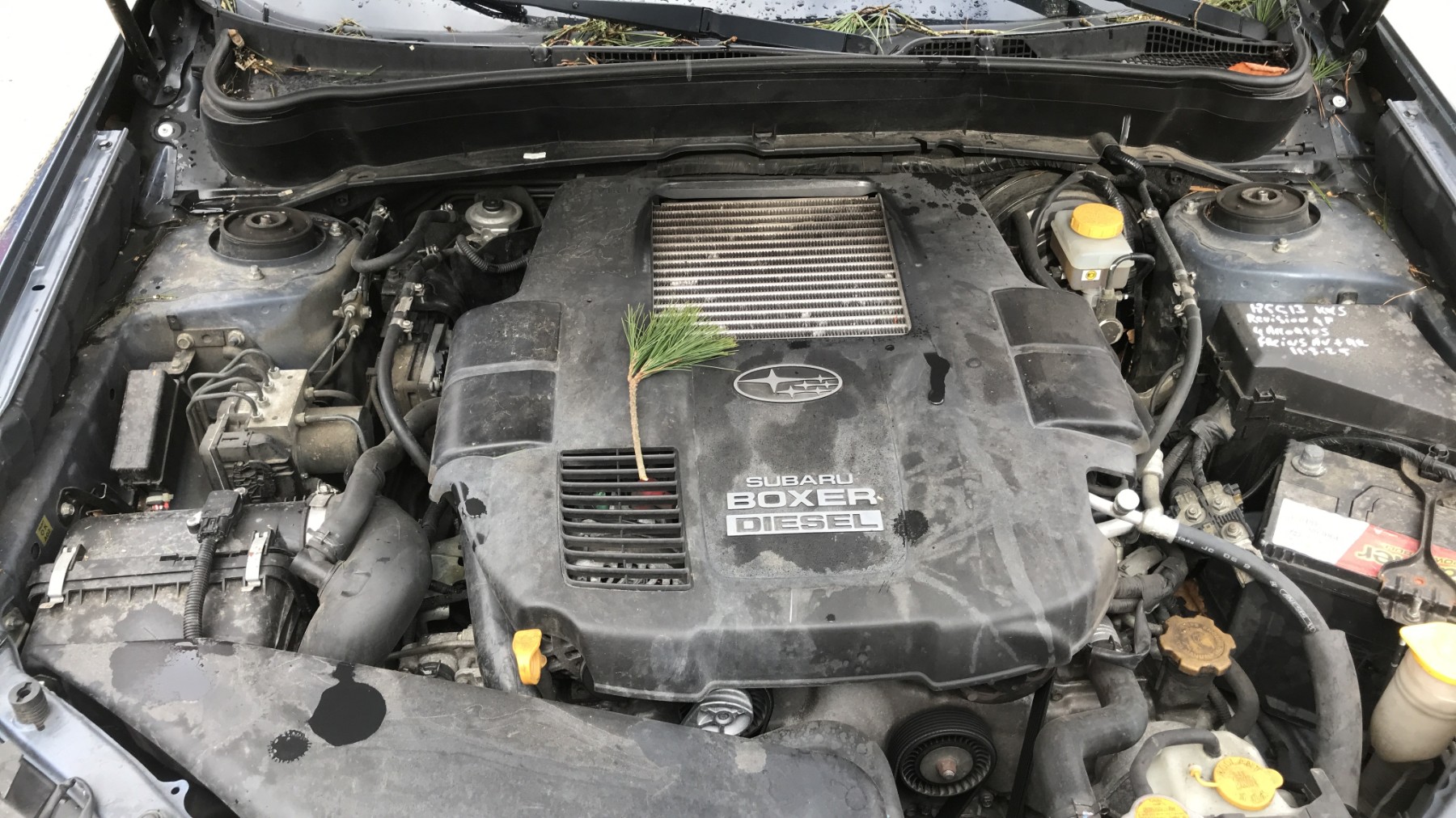 Image SUBARU FORESTER 3