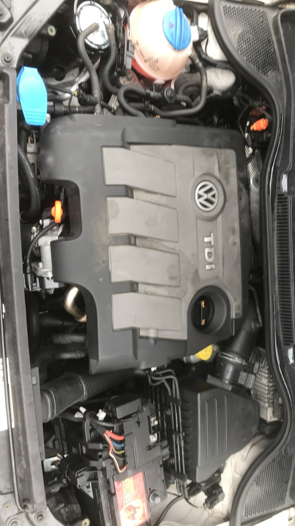 Image VOLKSWAGEN POLO 5