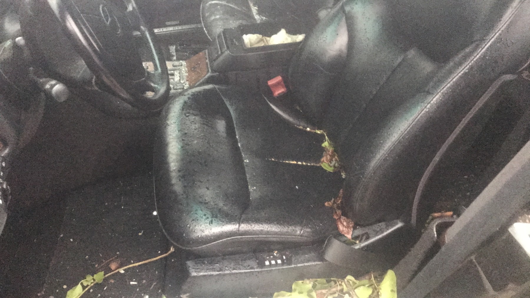 Image MERCEDES CLASSE S 140