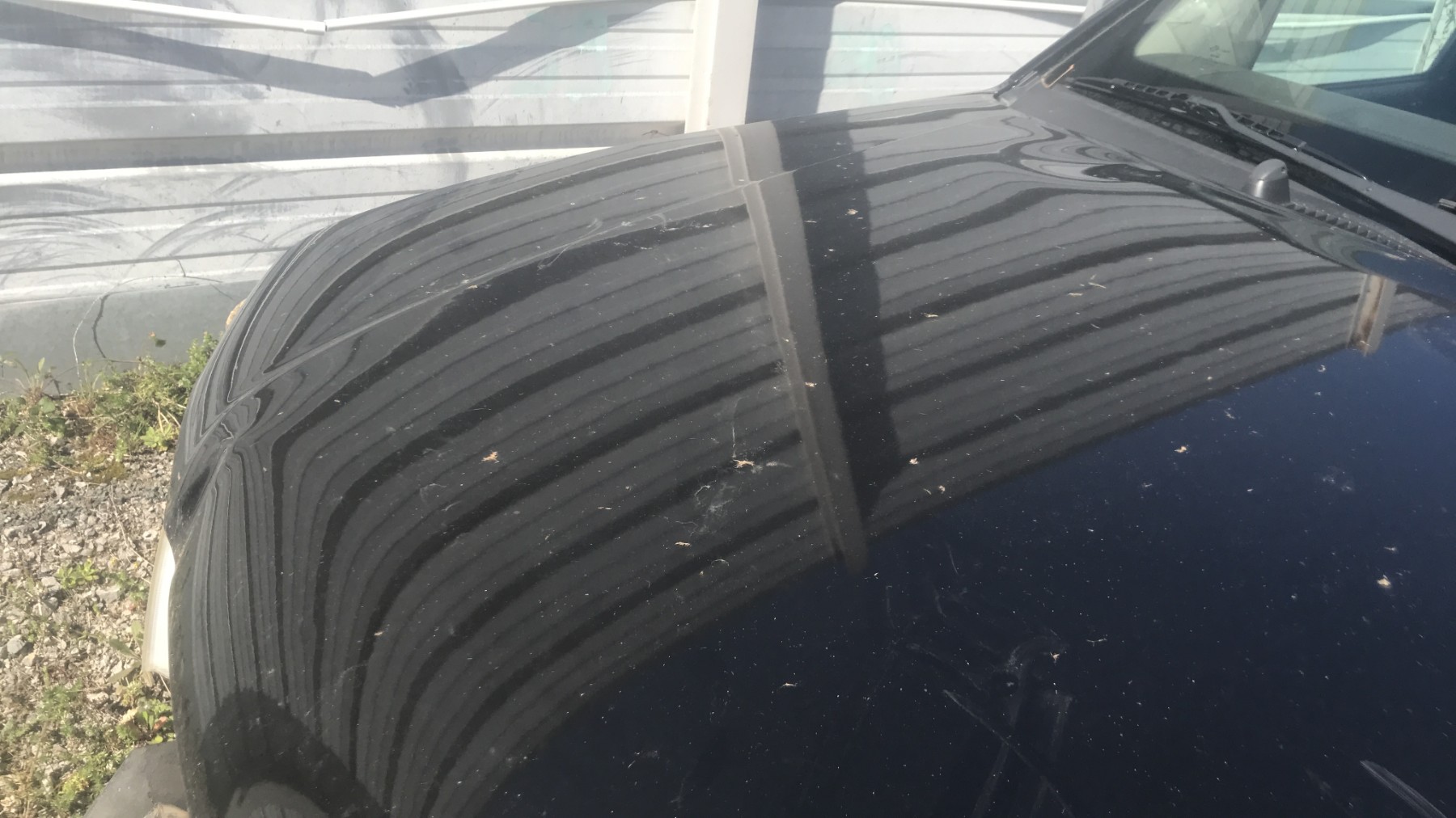 Image NISSAN NAVARA 1