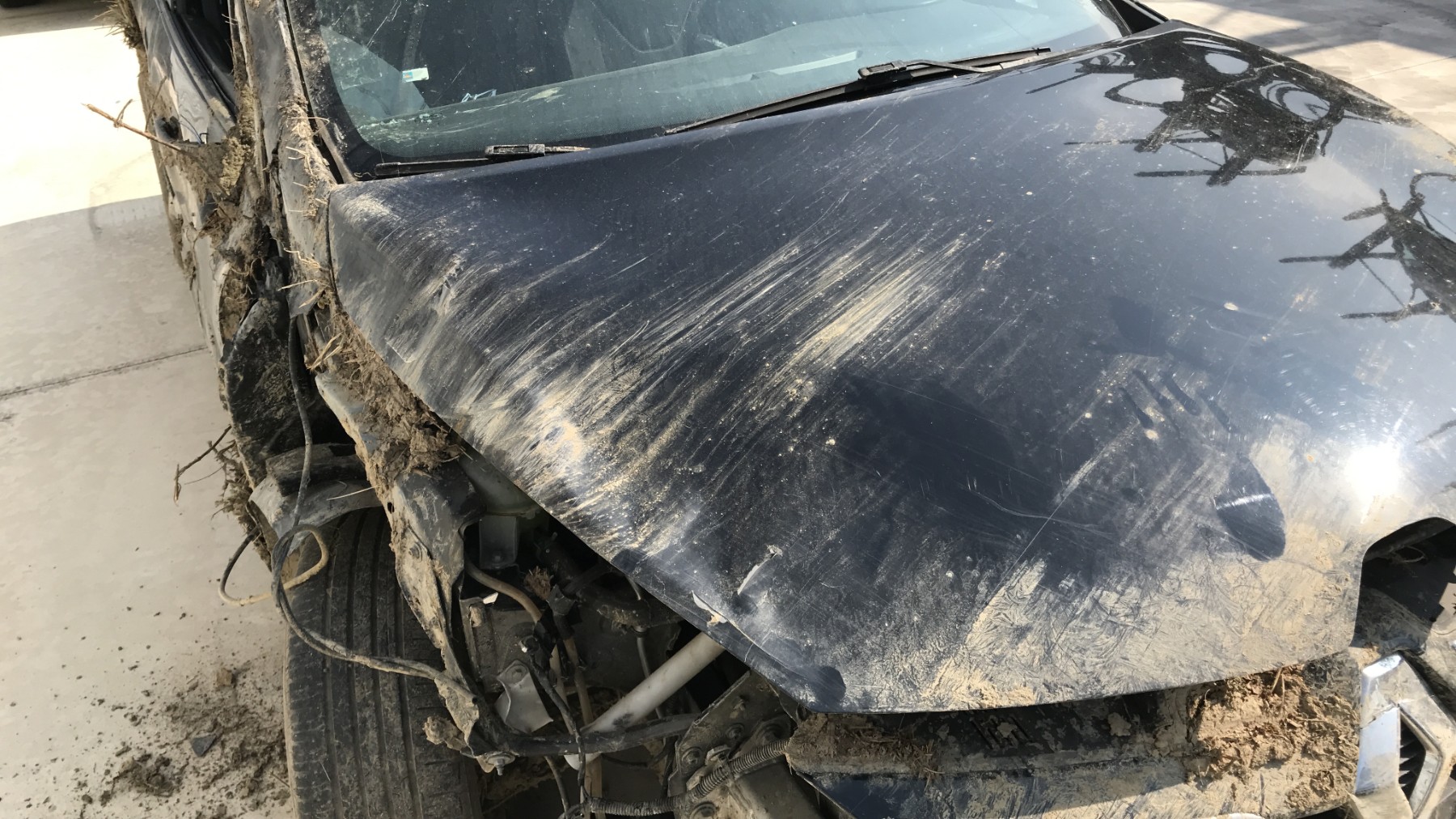 Image RENAULT CLIO 4