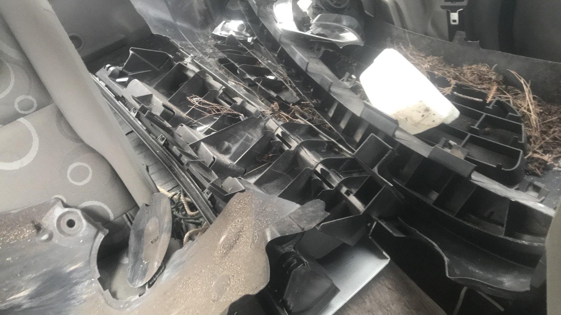 Image RENAULT KANGOO 2