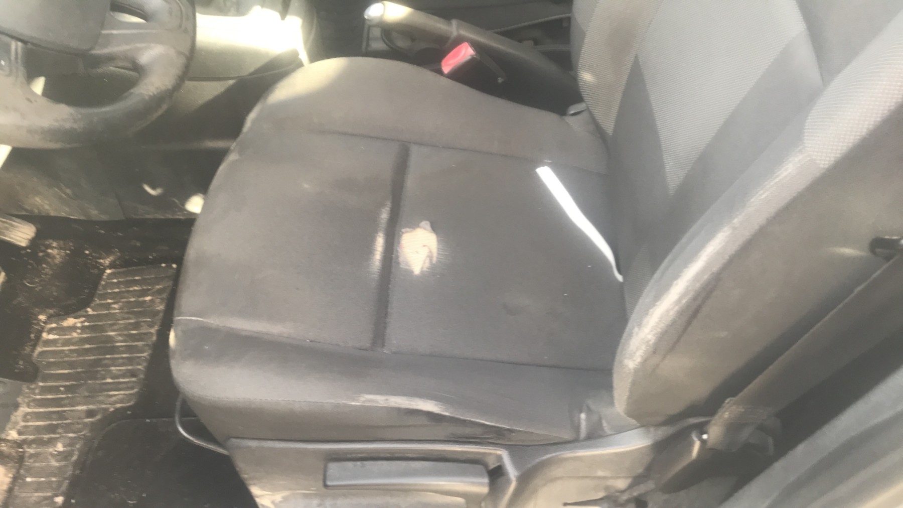 Image RENAULT SCENIC 3