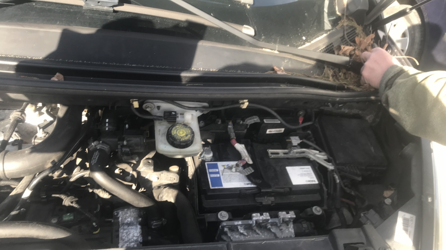 Image RENAULT SCENIC 3