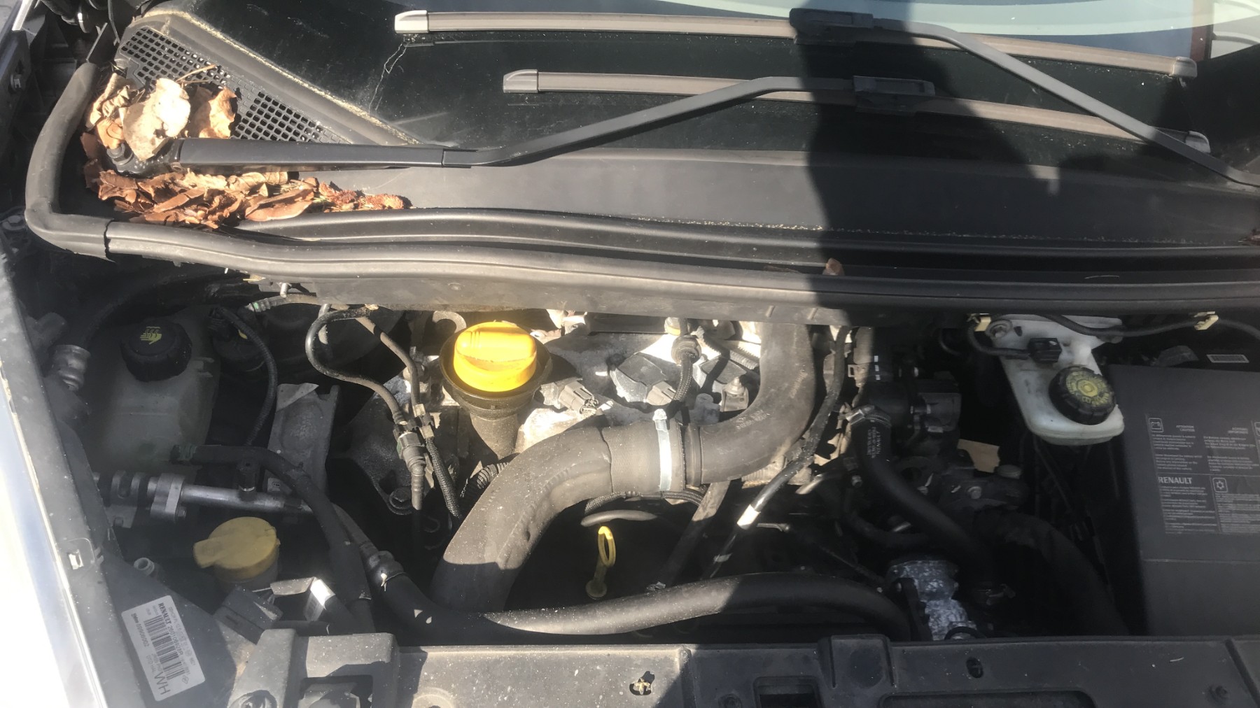 Image RENAULT SCENIC 3