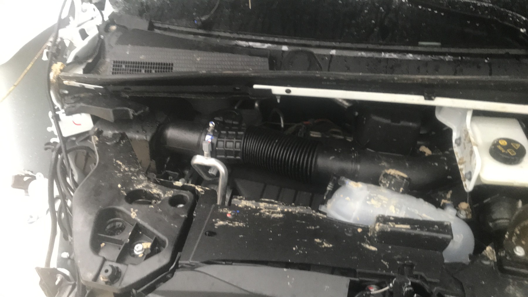 Image RENAULT TRAFIC 3 COURT