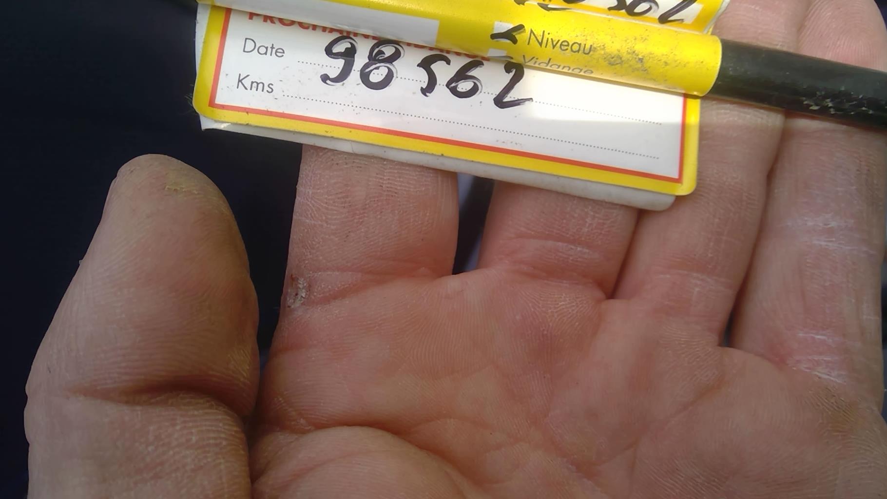 Image VOLKSWAGEN POLO 4