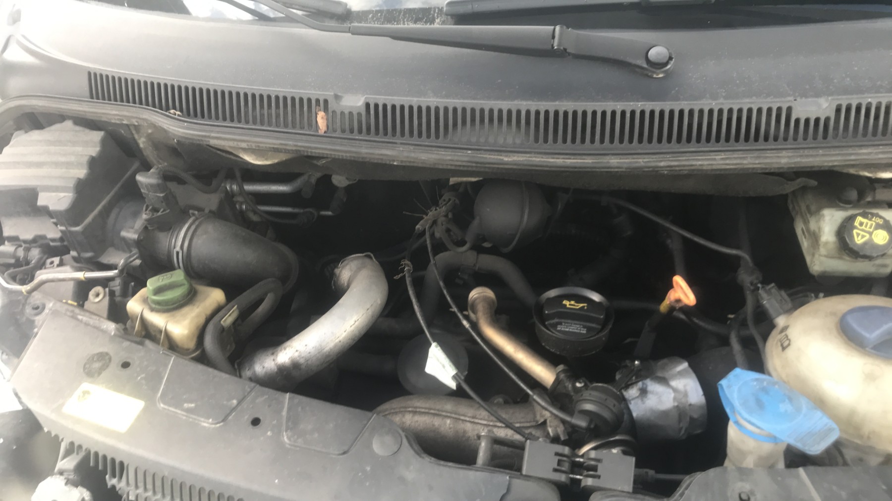 Image VOLKSWAGEN TRANSPORTER 5