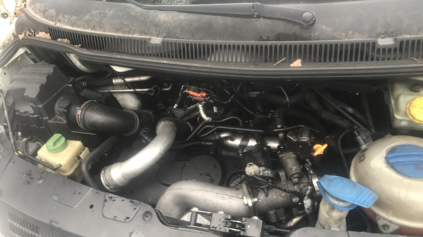 Image VOLKSWAGEN TRANSPORTER 5