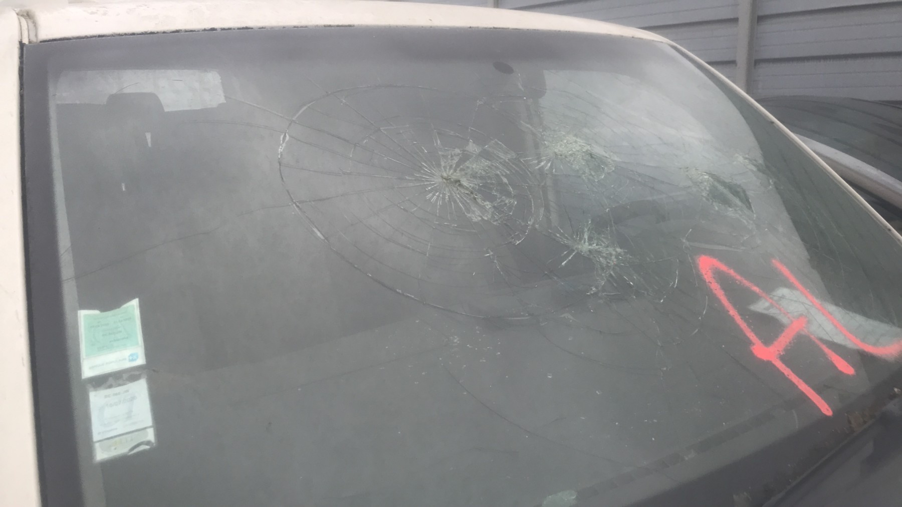 Image VOLKSWAGEN TRANSPORTER 5