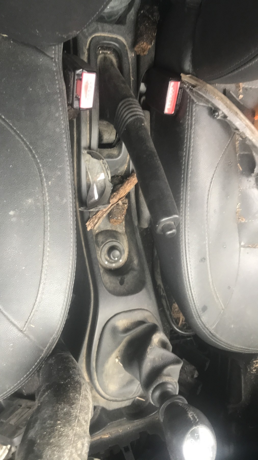 Image DACIA DUSTER 1