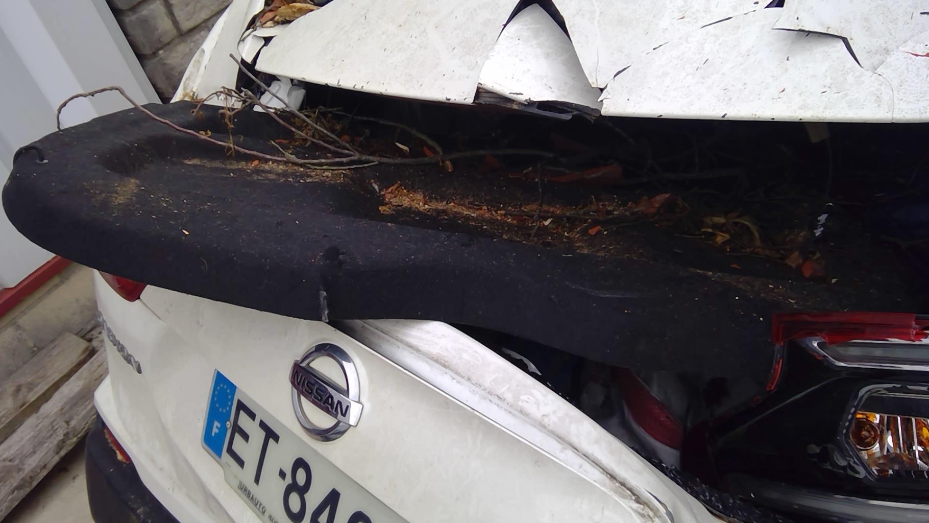 Image NISSAN QASHQAI 2