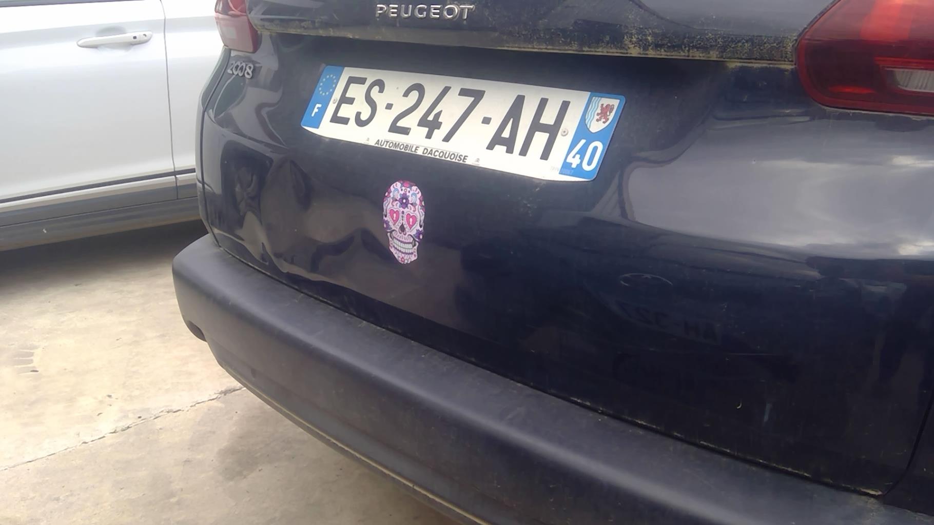 Image PEUGEOT 2008 1