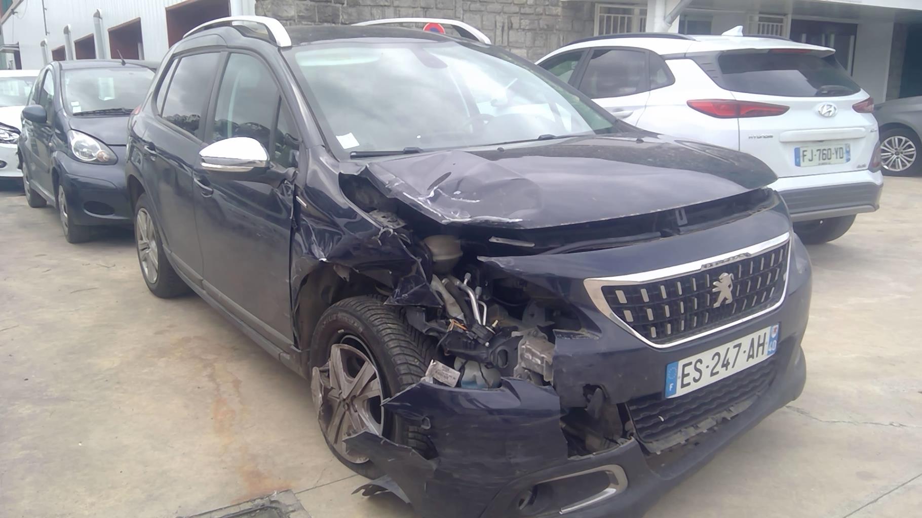 Image PEUGEOT 2008 1