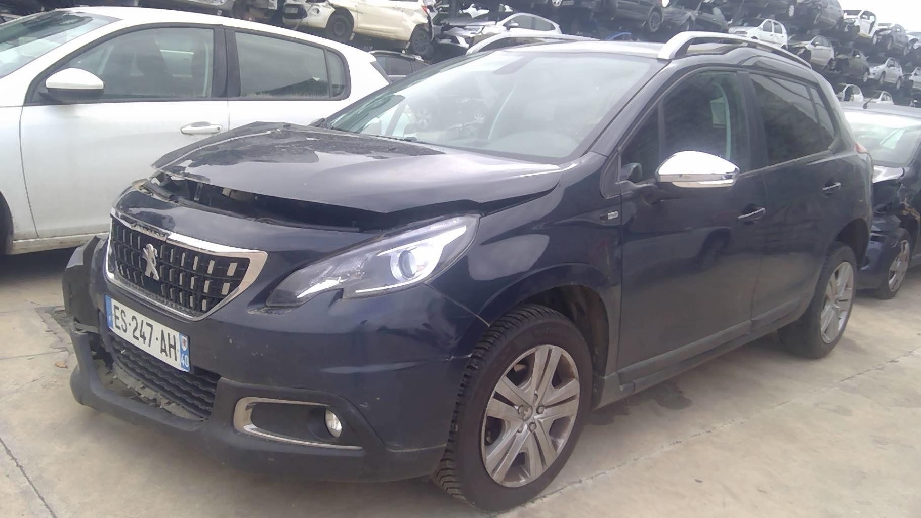 Image PEUGEOT 2008 1
