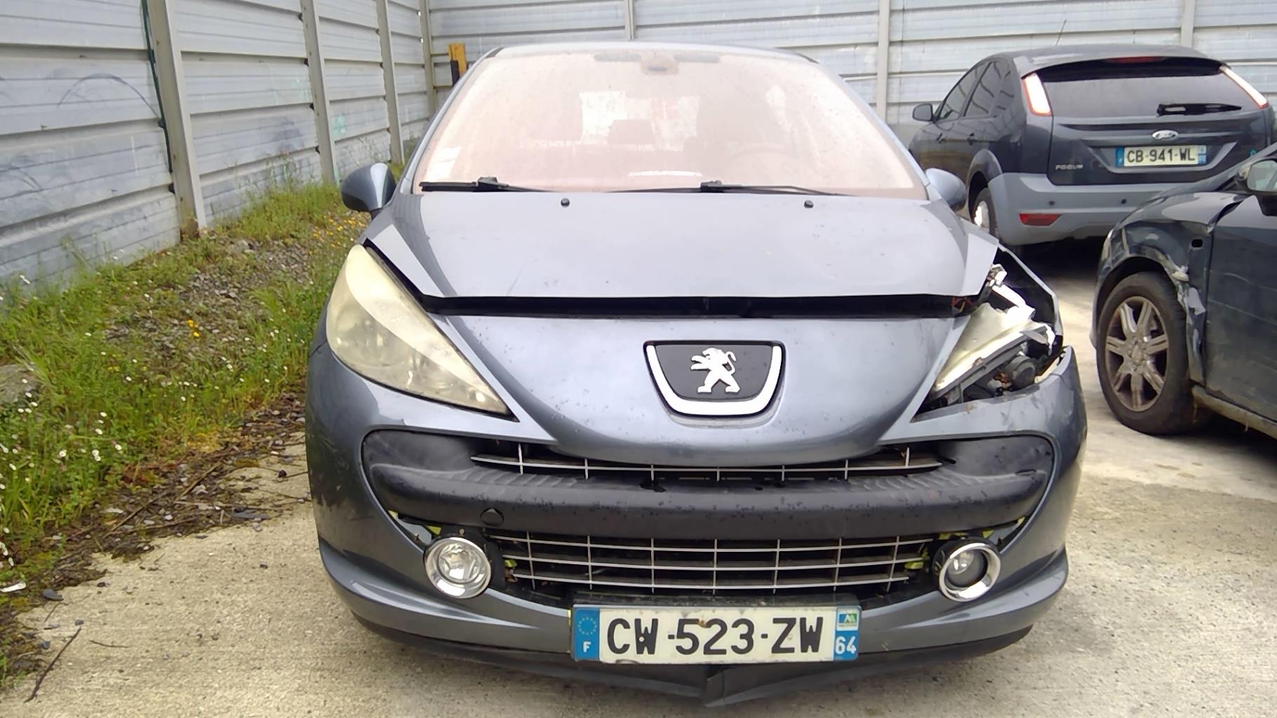 Image PEUGEOT 207