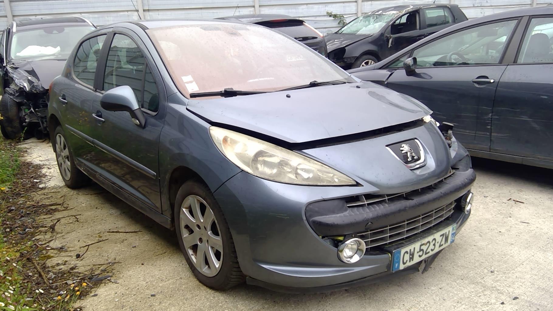 Image PEUGEOT 207