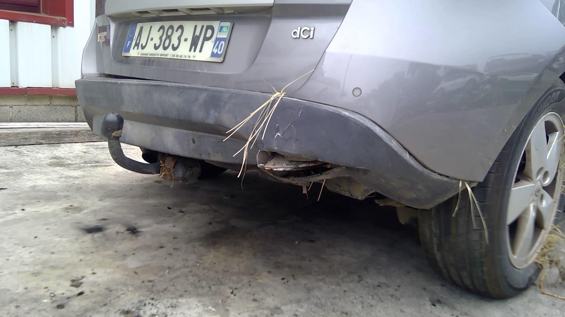 Image RENAULT SCENIC 3