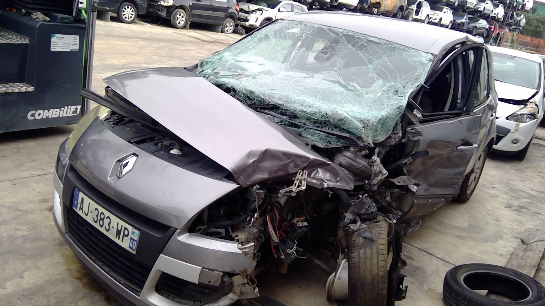 Image RENAULT SCENIC 3