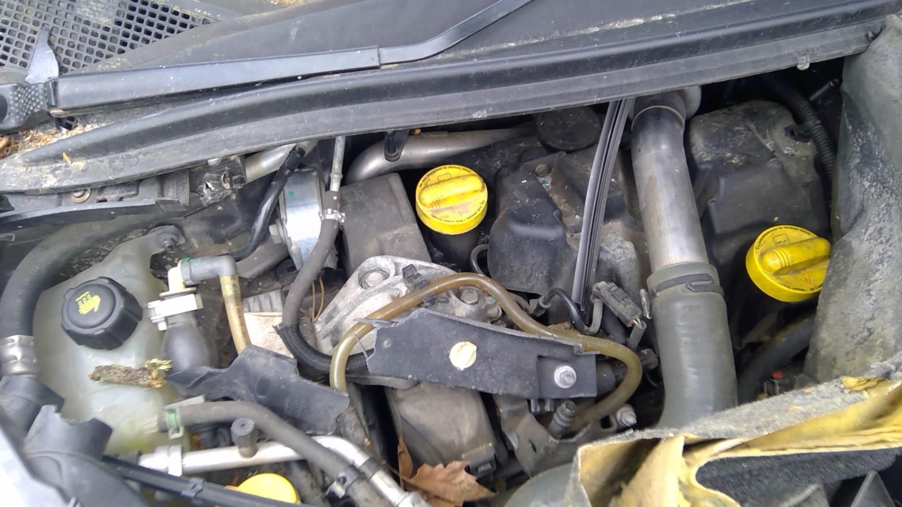 Image RENAULT SCENIC 3