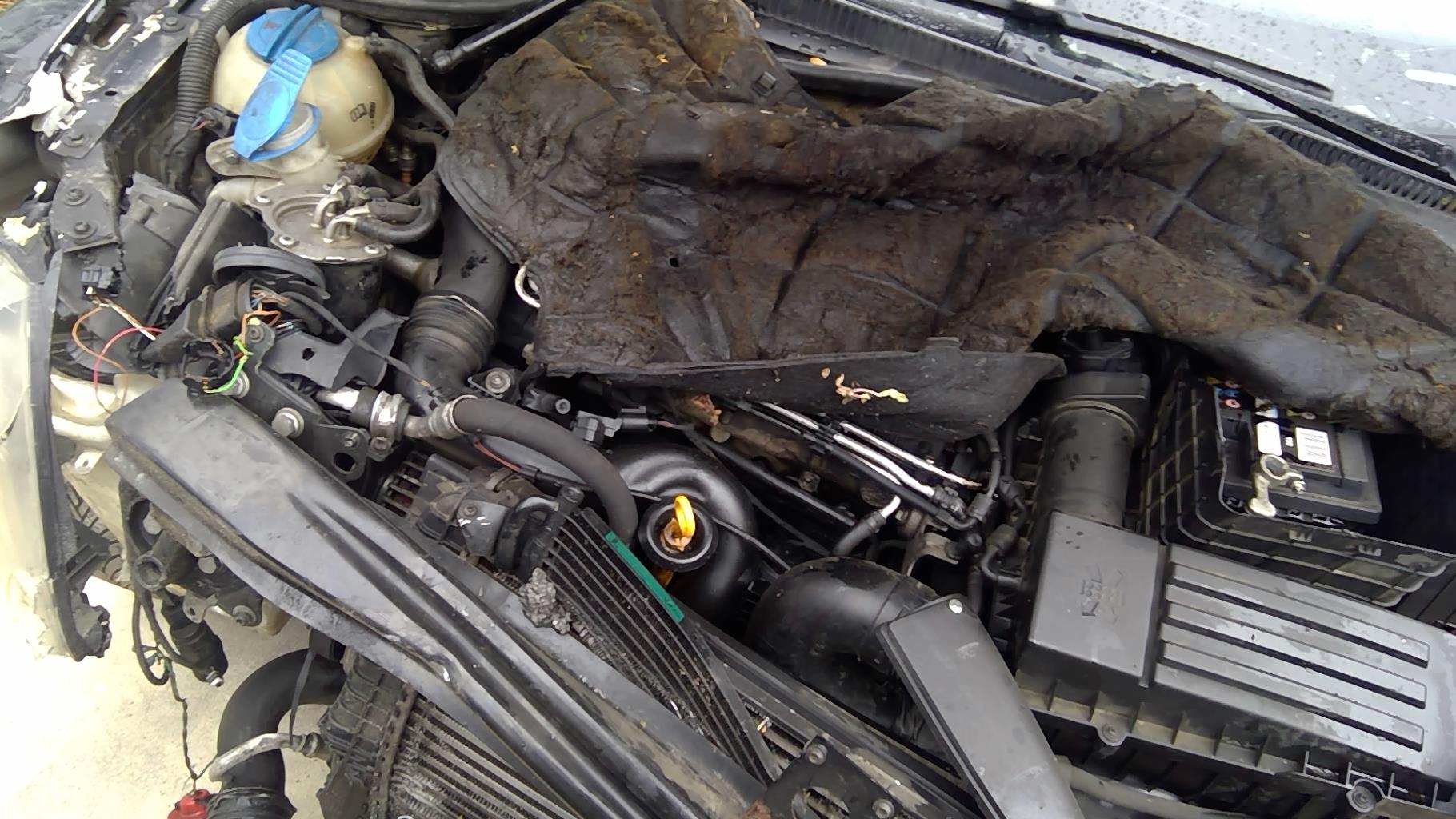 Image VOLKSWAGEN GOLF 5