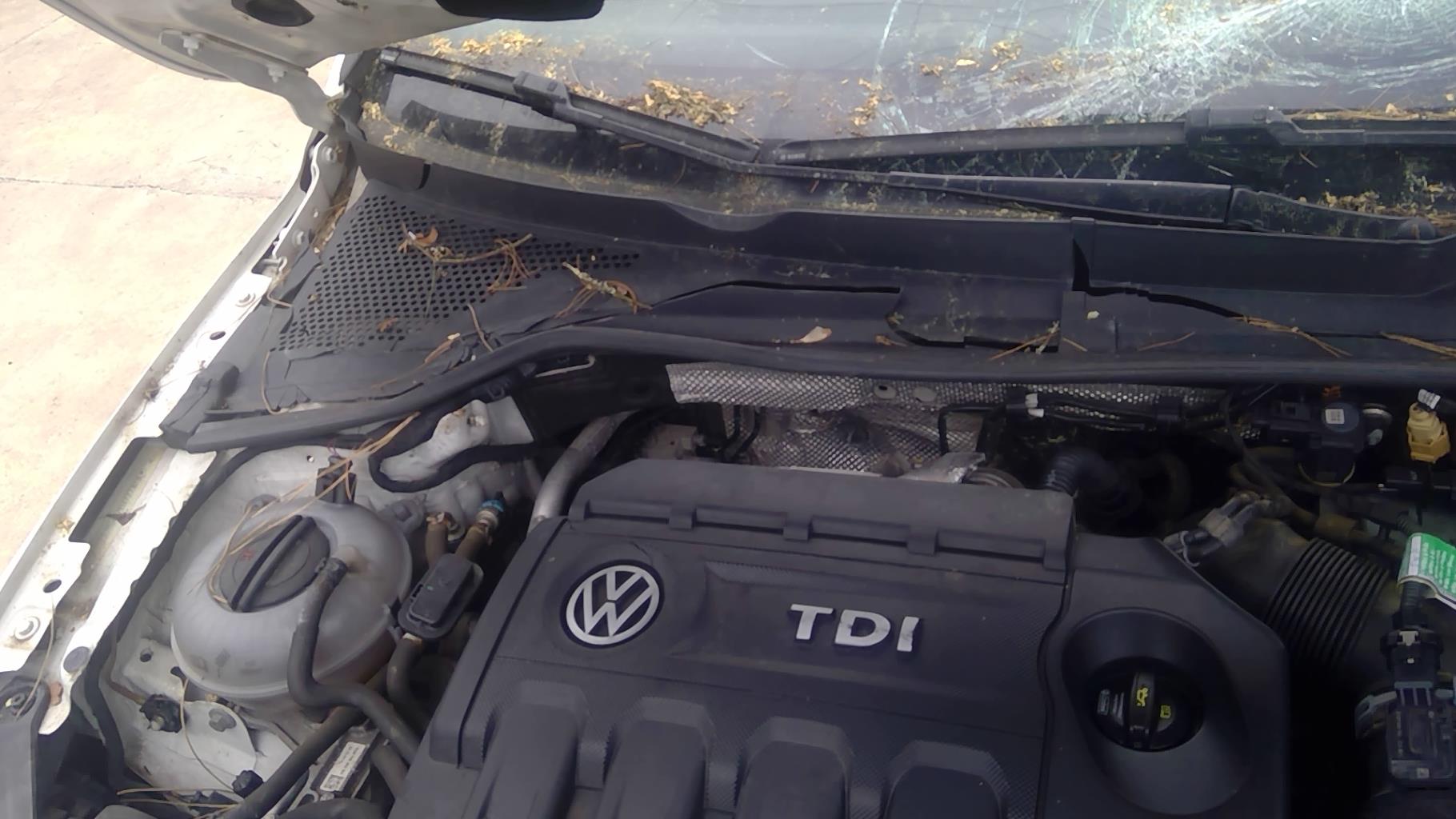 Image VOLKSWAGEN GOLF 7