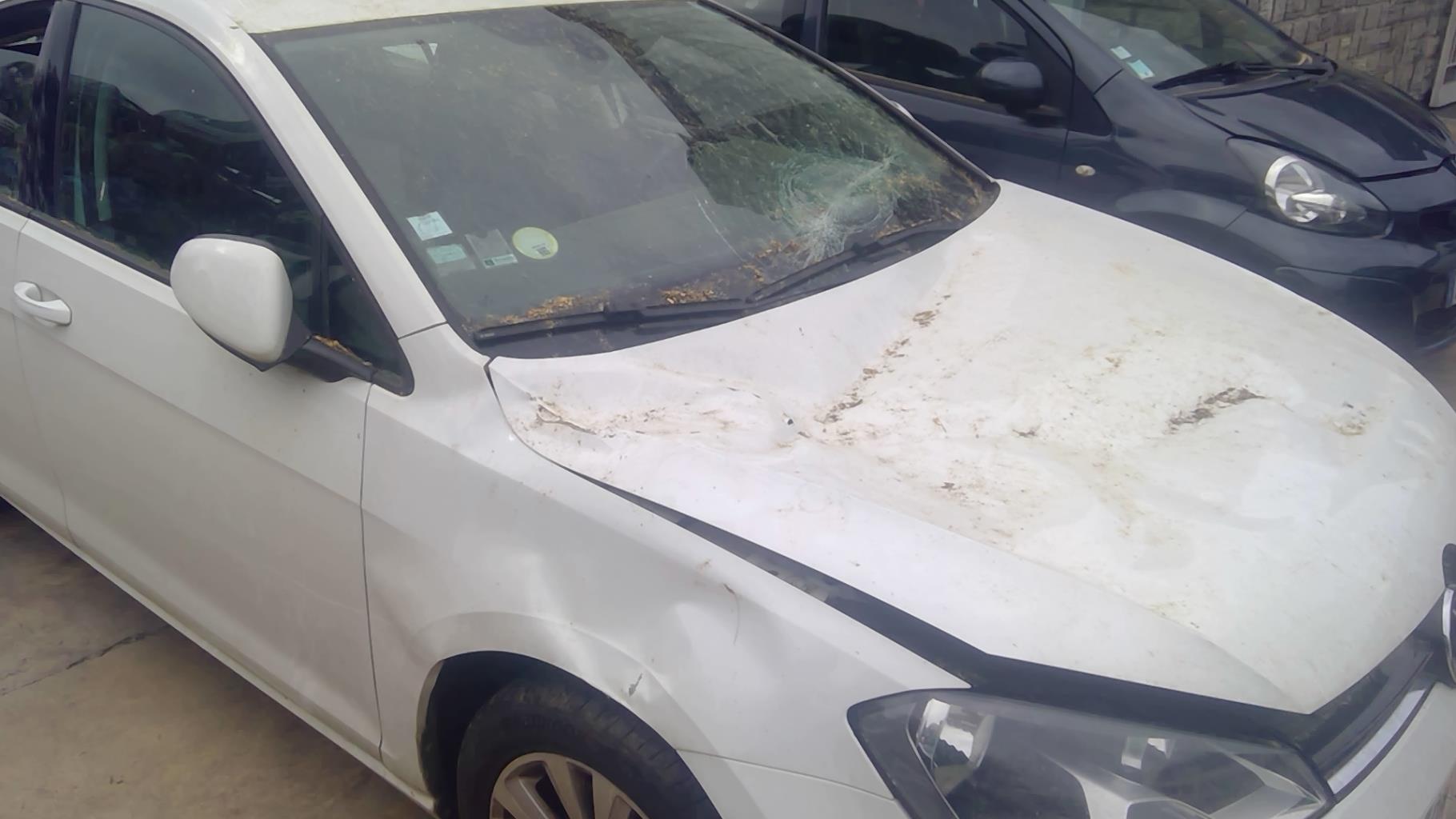 Image VOLKSWAGEN GOLF 7