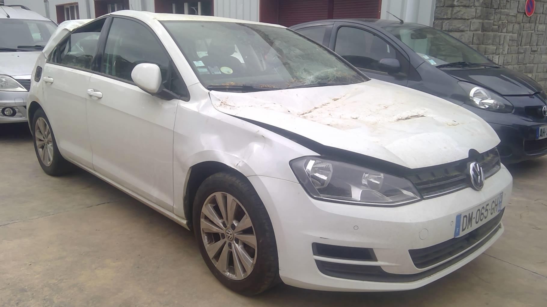 Image VOLKSWAGEN GOLF 7