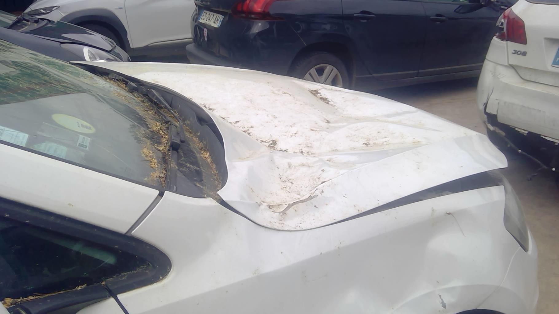 Image VOLKSWAGEN GOLF 7