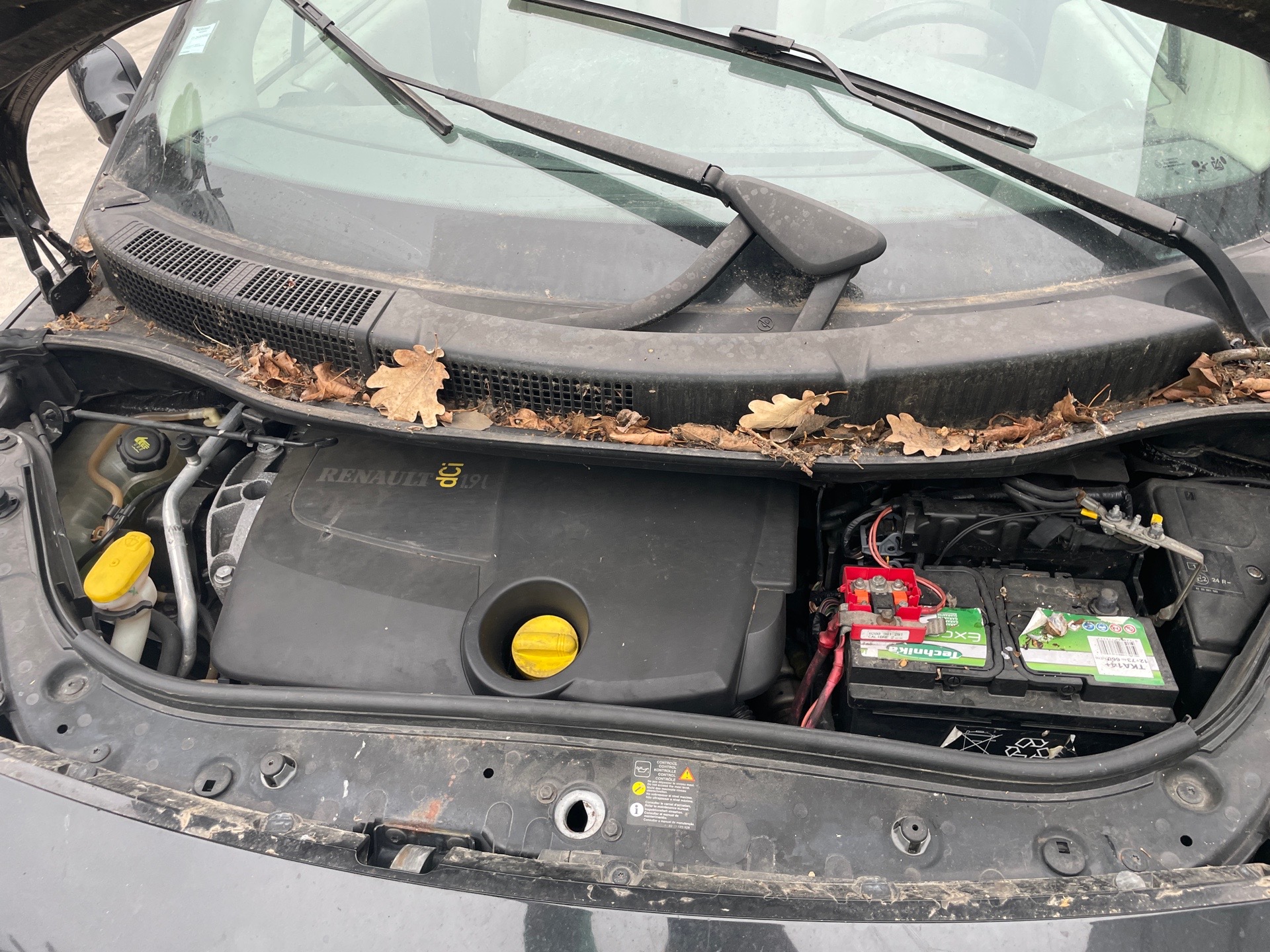Image RENAULT GRAND SCENIC 2