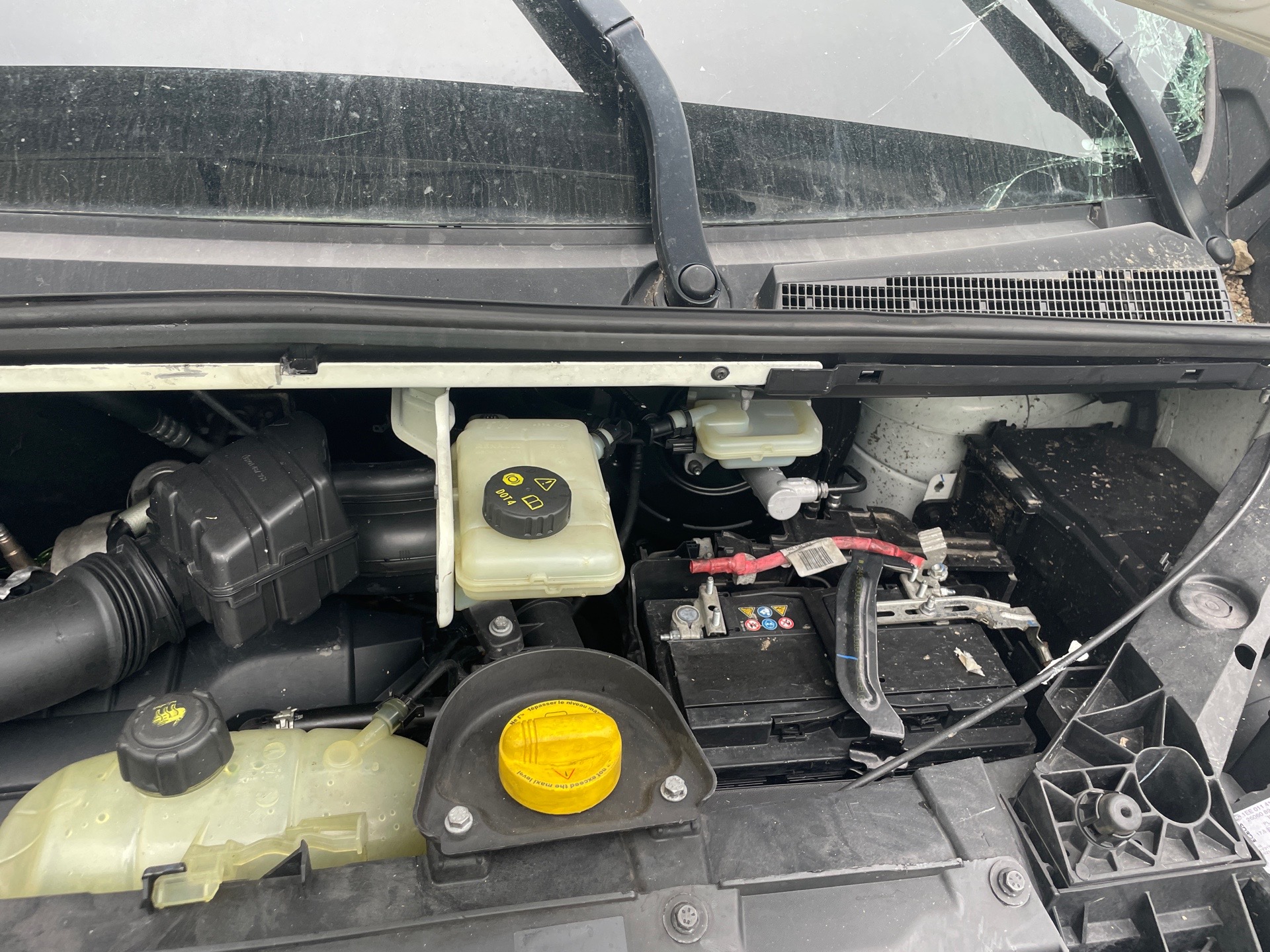 Image RENAULT TRAFIC 3 COURT