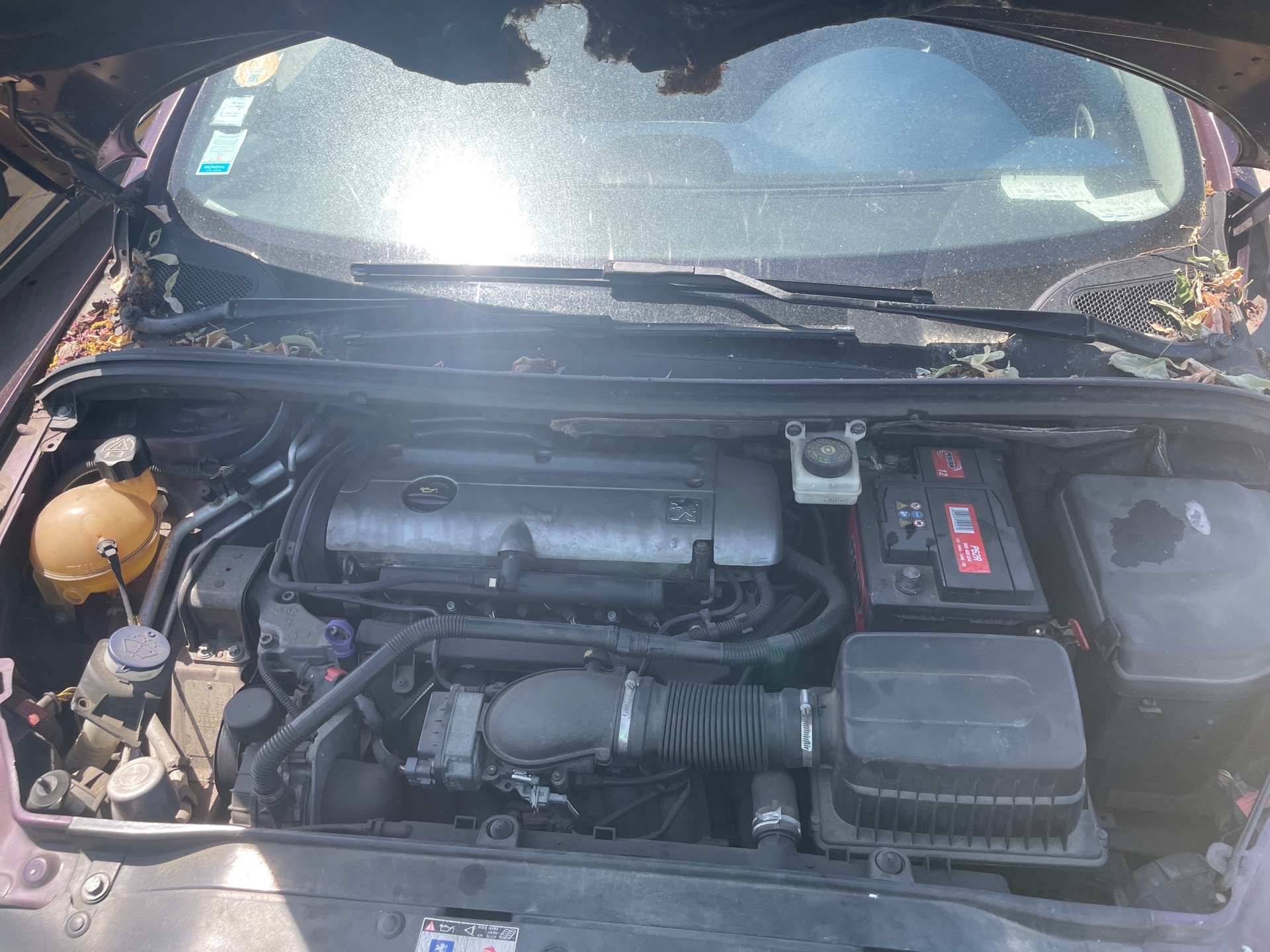 Image PEUGEOT 307