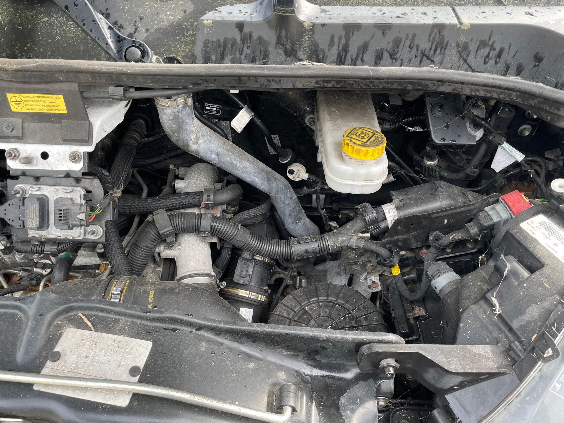 Image FIAT DUCATO 3