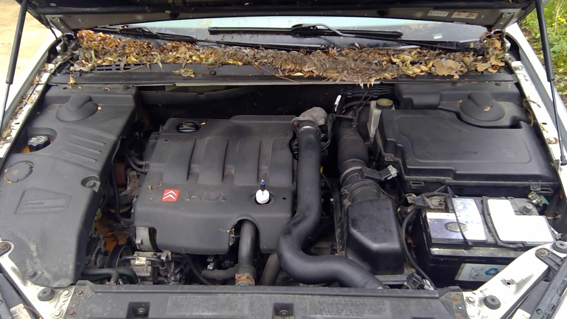 Image CITROEN C5 1