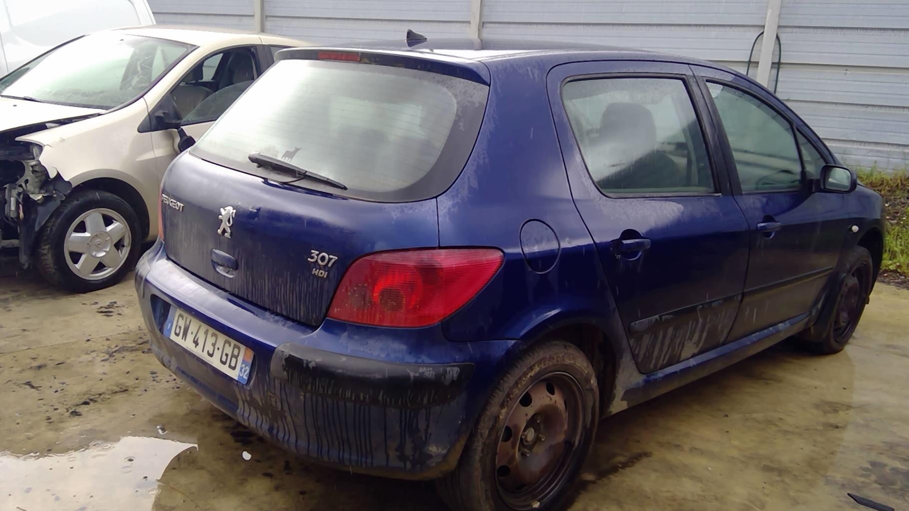 Image PEUGEOT 307
