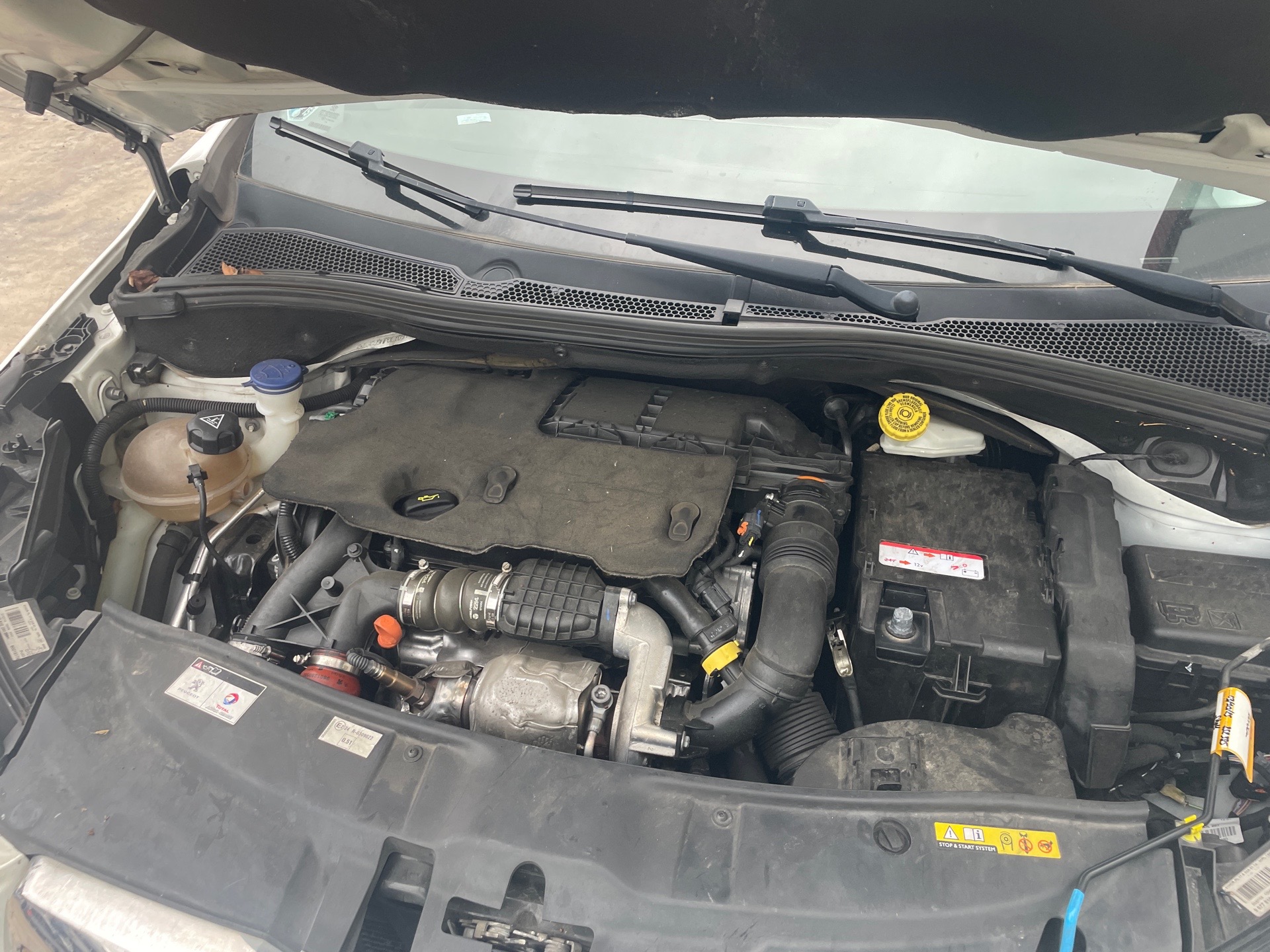 Image PEUGEOT 2008 1
