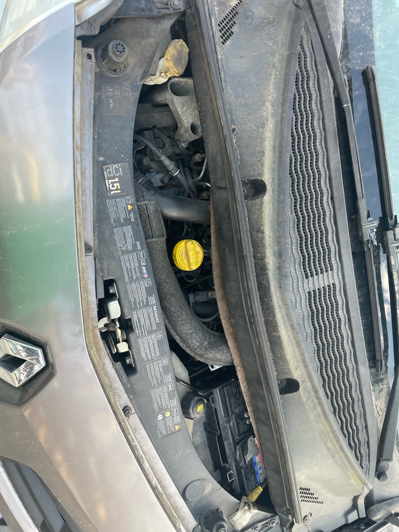 Image RENAULT GRAND MODUS