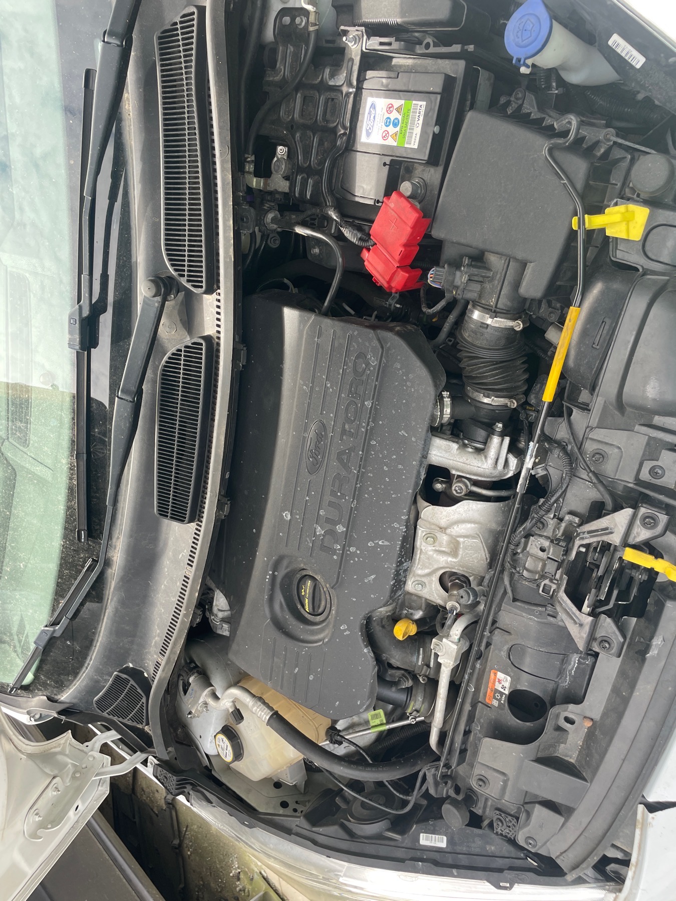Image FORD FIESTA 6