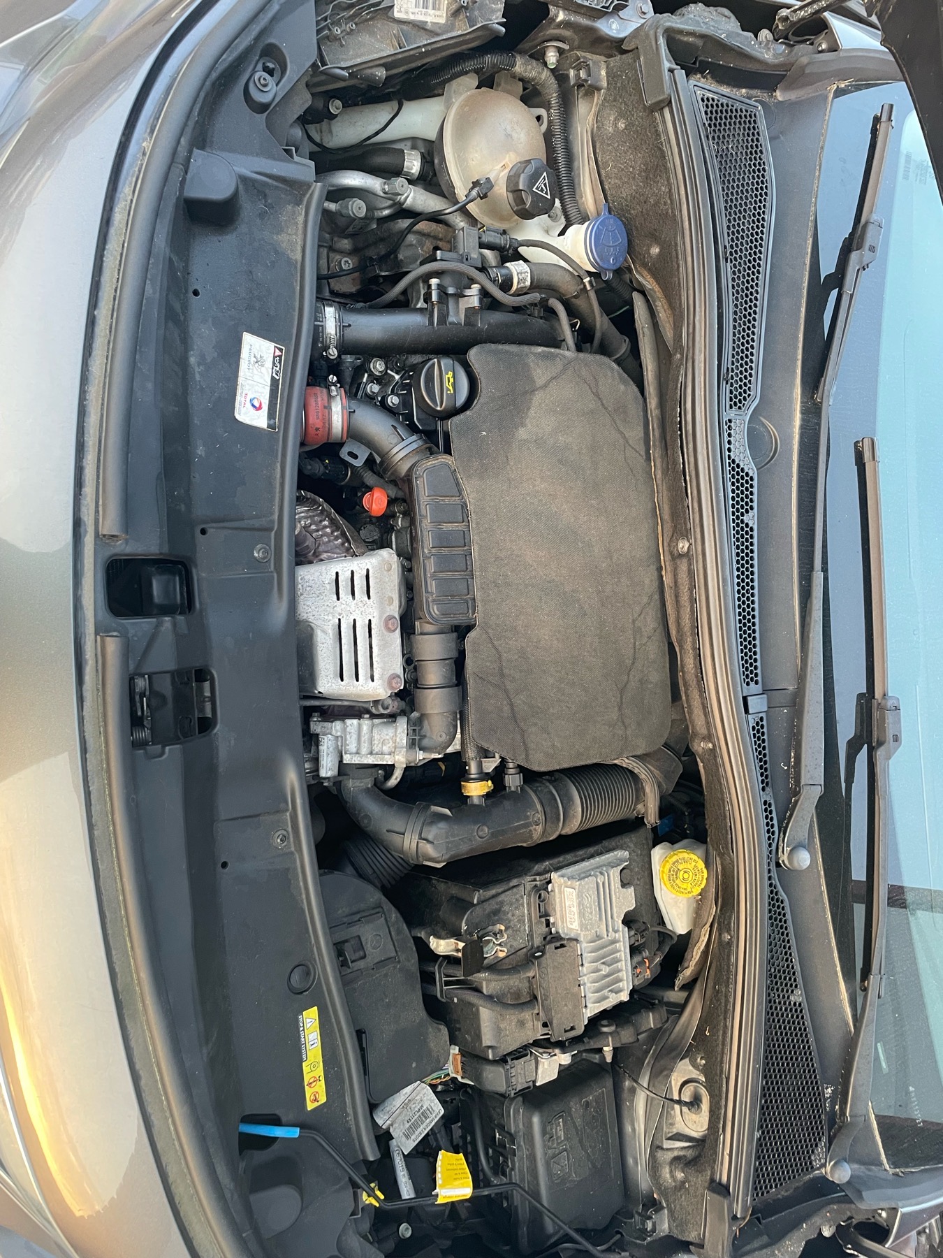 Image PEUGEOT 2008 1