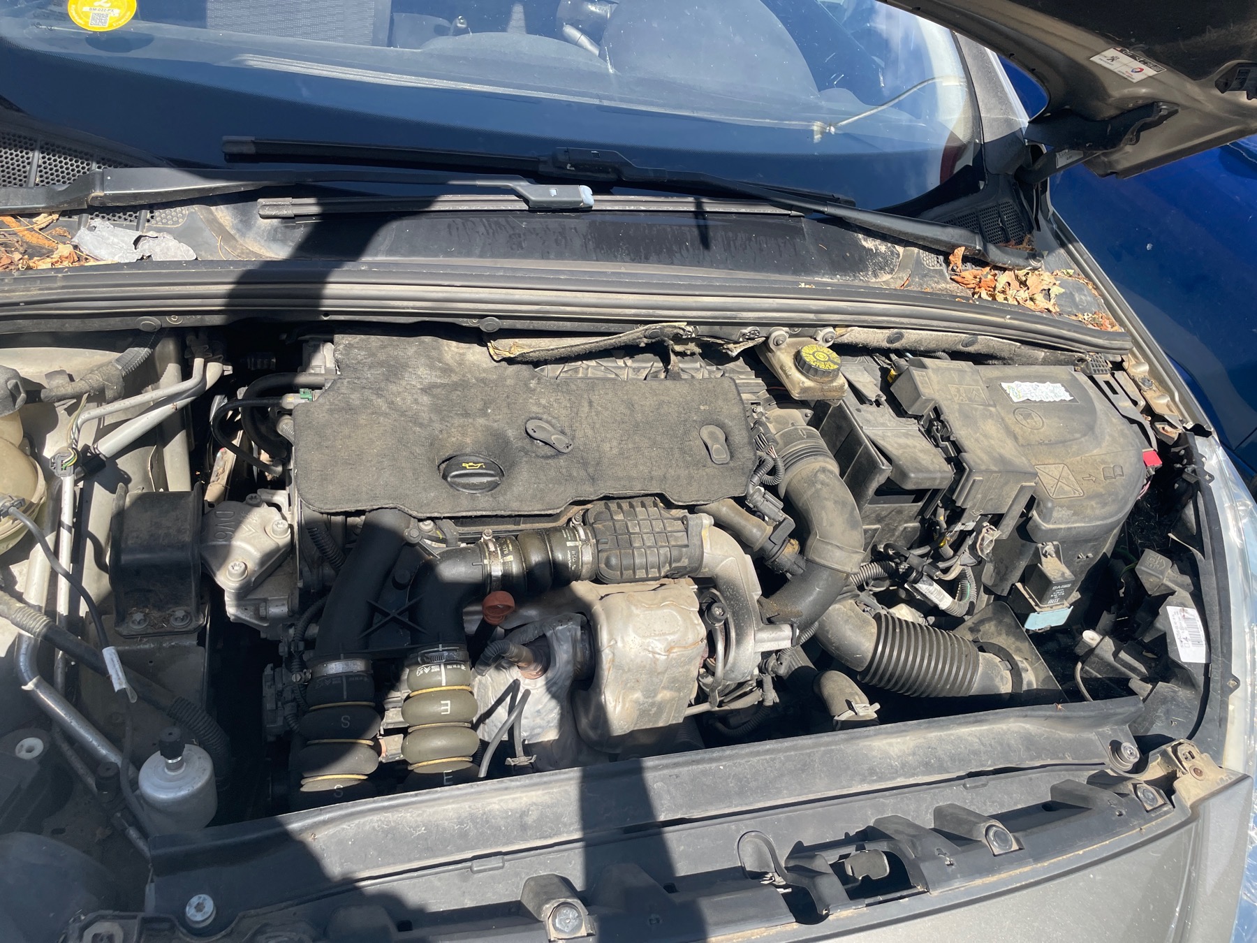 Image PEUGEOT 308 1 SW