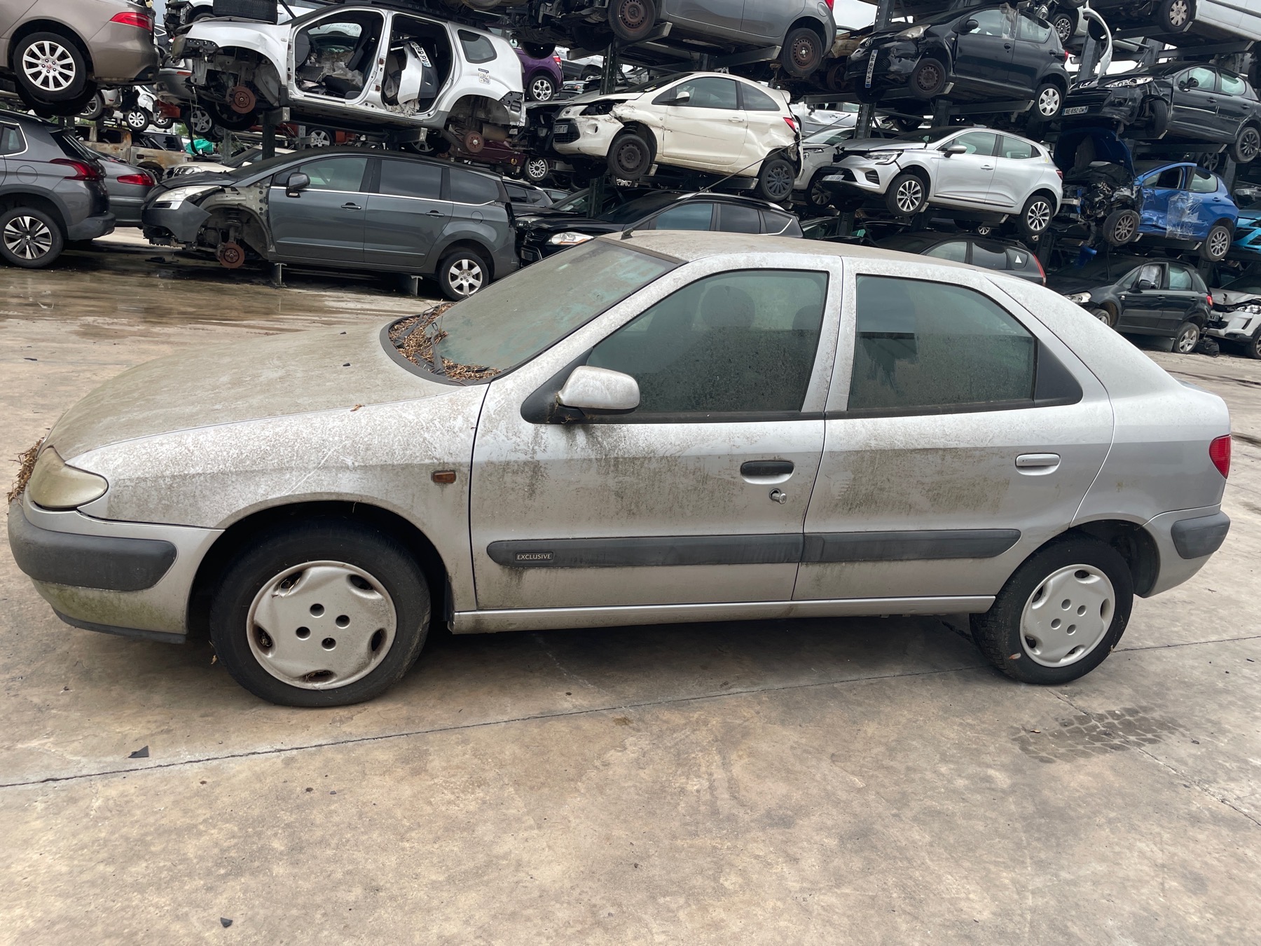 Image CITROEN XSARA