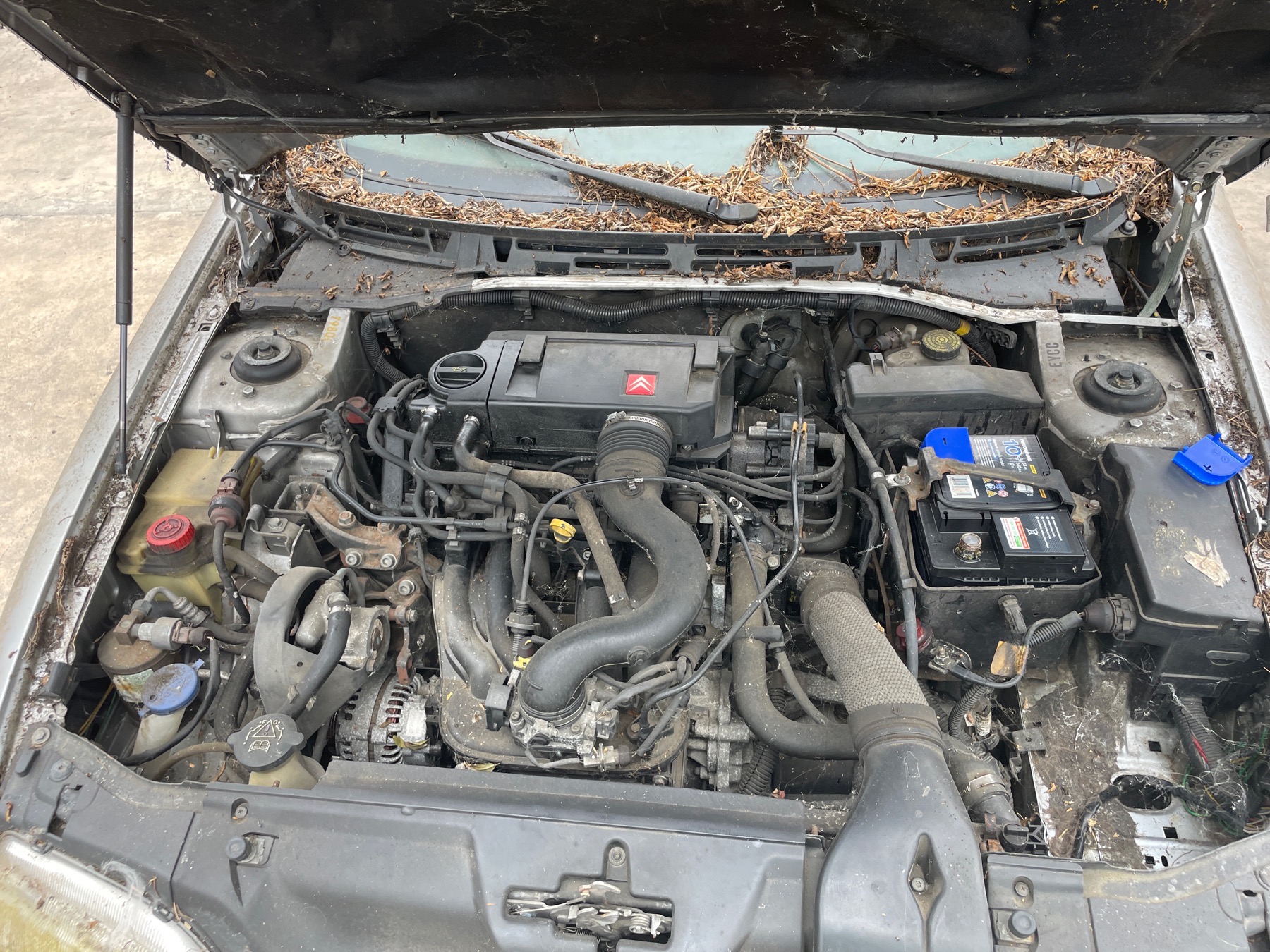Image CITROEN XSARA