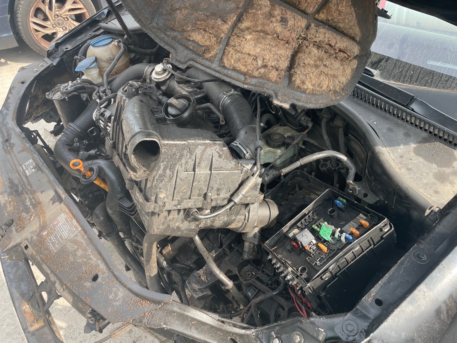 Image VOLKSWAGEN GOLF 5