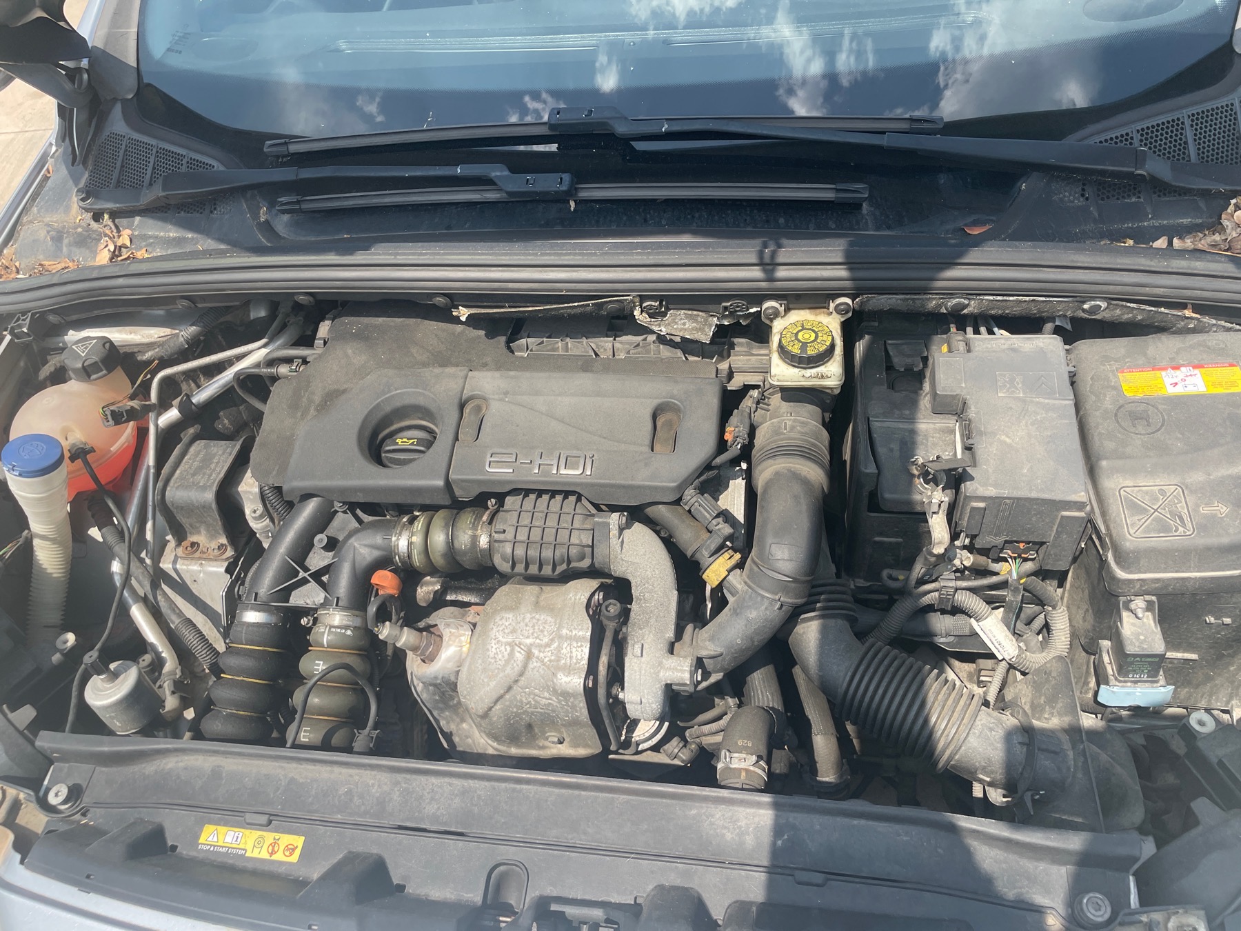 Image PEUGEOT 308 1